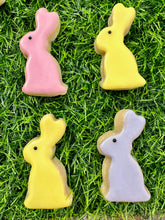Load image into Gallery viewer, Easter/spring bunnies sugar cookies (mini) - two dozen